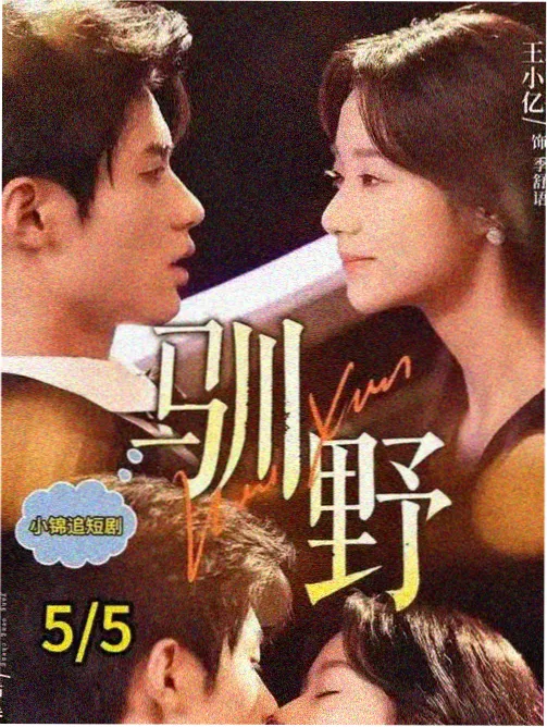 台词与伏笔封面